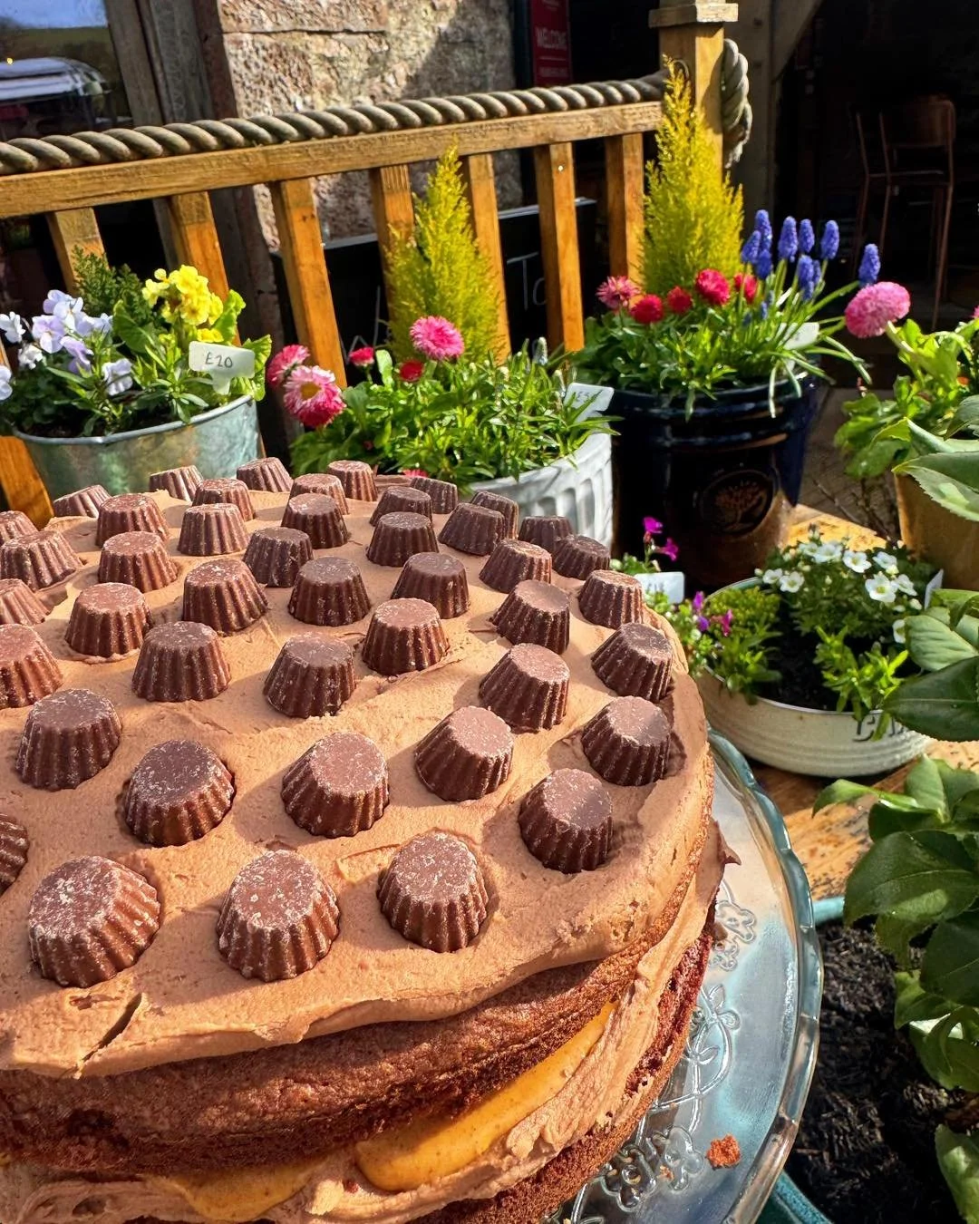 The sun is trying to shine today ☀️&hellip; so why not wander on down to The Wandering Bear? 🐻

Did you know we&rsquo;re not just a caf&eacute;?

We&rsquo;ve got a full brunch &amp; lunch menu packed with delicious options, cakes that are absolutely