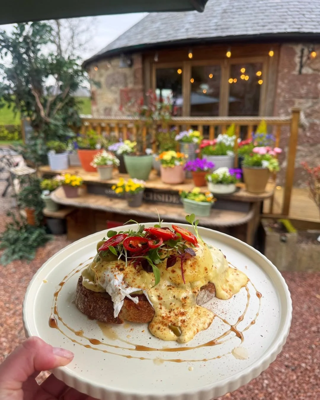 Mexican eggs vs sweetcorn fritters 

Two new additions to the menu this week&hellip; and both just as good as they look 🤤

But the real question is; which one are you choosing?

We&rsquo;re here all weekend 10&ndash;4 🐻

Whether you&rsquo;re in for