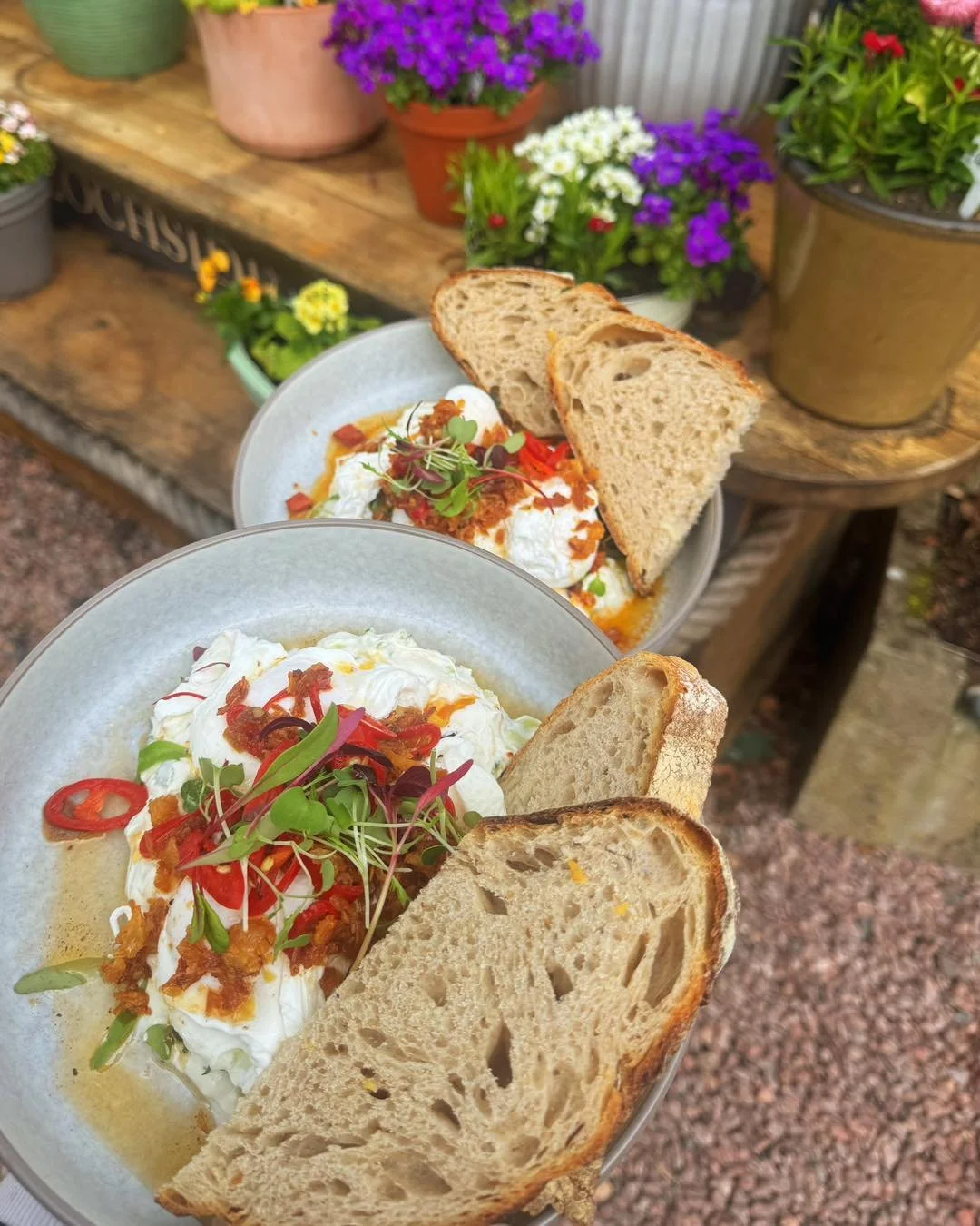 What&rsquo;s better than Turkish eggs&hellip;? 👀
Two of them 🐻

Another day, another brunch favourite 🤍

Poached eggs, cucumber &amp; garlic yoghurt, crispy chilli oil, soused red onions &mdash; all on toasted sourdough 🤤

Simple, but done right.
