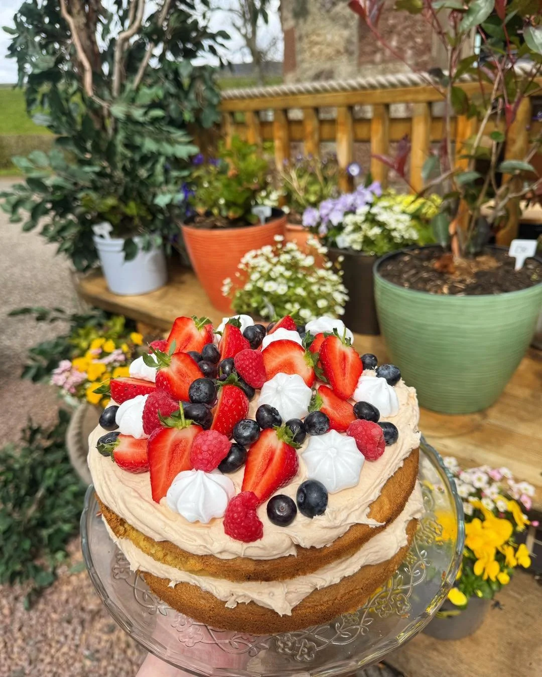 Summer berry meringue Victoria cake 🍓☀️

Light vanilla sponge layered with Lucy&rsquo;s homemade raspberry jam and whipped buttercream, topped with fresh summer berries and crunchy pieces of sweet meringue 🤍

A proper summer cake&hellip; and one we