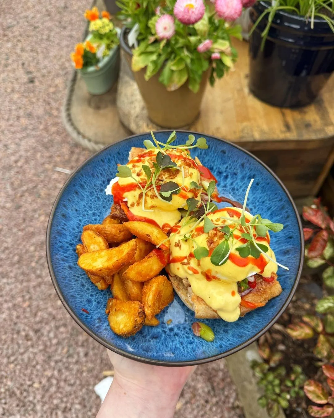 Sunday plans? We&rsquo;ve got a couple of suggestions&hellip; 👀🐻

Our Asian pork belly benedict 🤤

Or the panko brie &amp; eggs &mdash; crispy, creamy and covered in chilli oil goodness.

Good coffee brewing, fresh cakes on the counter and brunch 