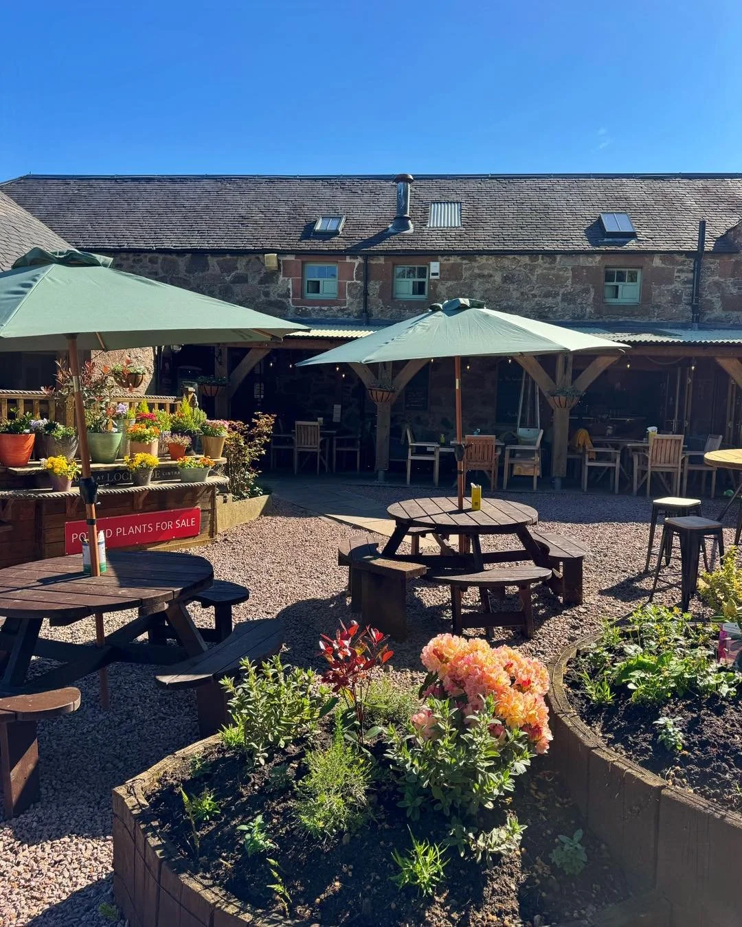 The sun is out ☀️ 

Open 10-4pm head on down and enjoy the sun! 

Worth the wander&hellip;