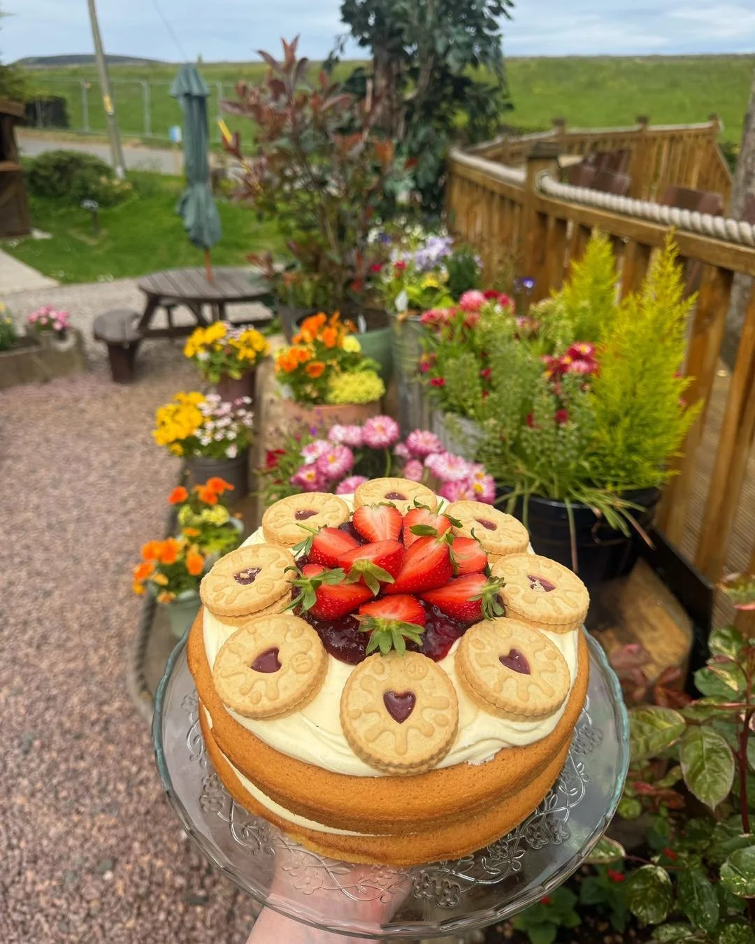 Another weekend, another jammy Victoria cake 🍓🐻

We genuinely can&rsquo;t keep up with these ones 👀

Soft sponge, plenty of Lucy&rsquo;s homemade raspberry jam, whipped buttercream and all the goodness you&rsquo;d expect from a proper Victoria cak