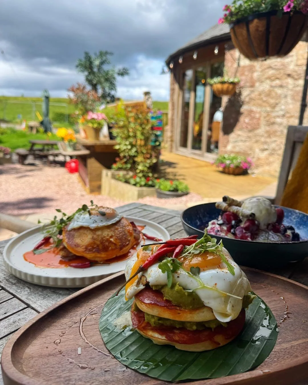 🥞 Pancake specials this weekend at The Wandering Bear 🐻

🔥 Buffalo Orange Chicken Pancakes
Sourdough buttermilk pancakes topped with buffalo orange chicken, crispy bacon and a fried egg.

🌶️ Mexican Pancakes
Sourdough buttermilk pancakes with swe