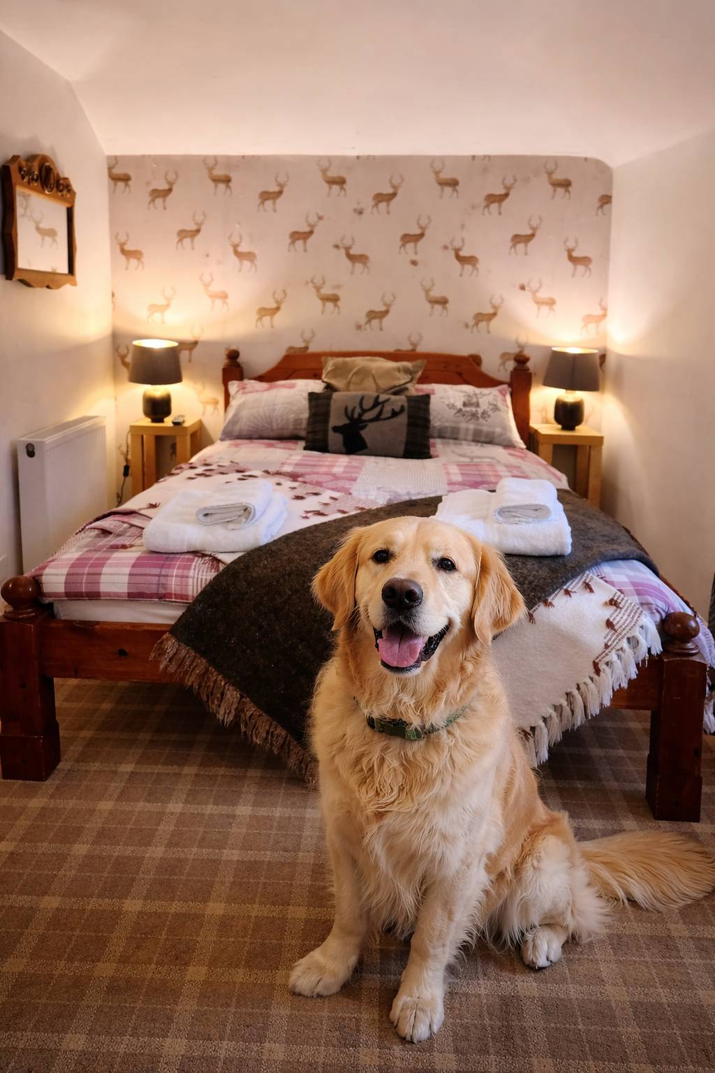 ChatGPT Image Feb 11, 2026, 09_11_59 PM.png