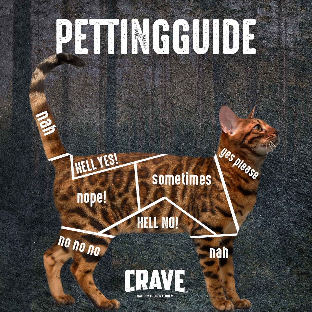 2021.07.00_Pettingguide_V2.png