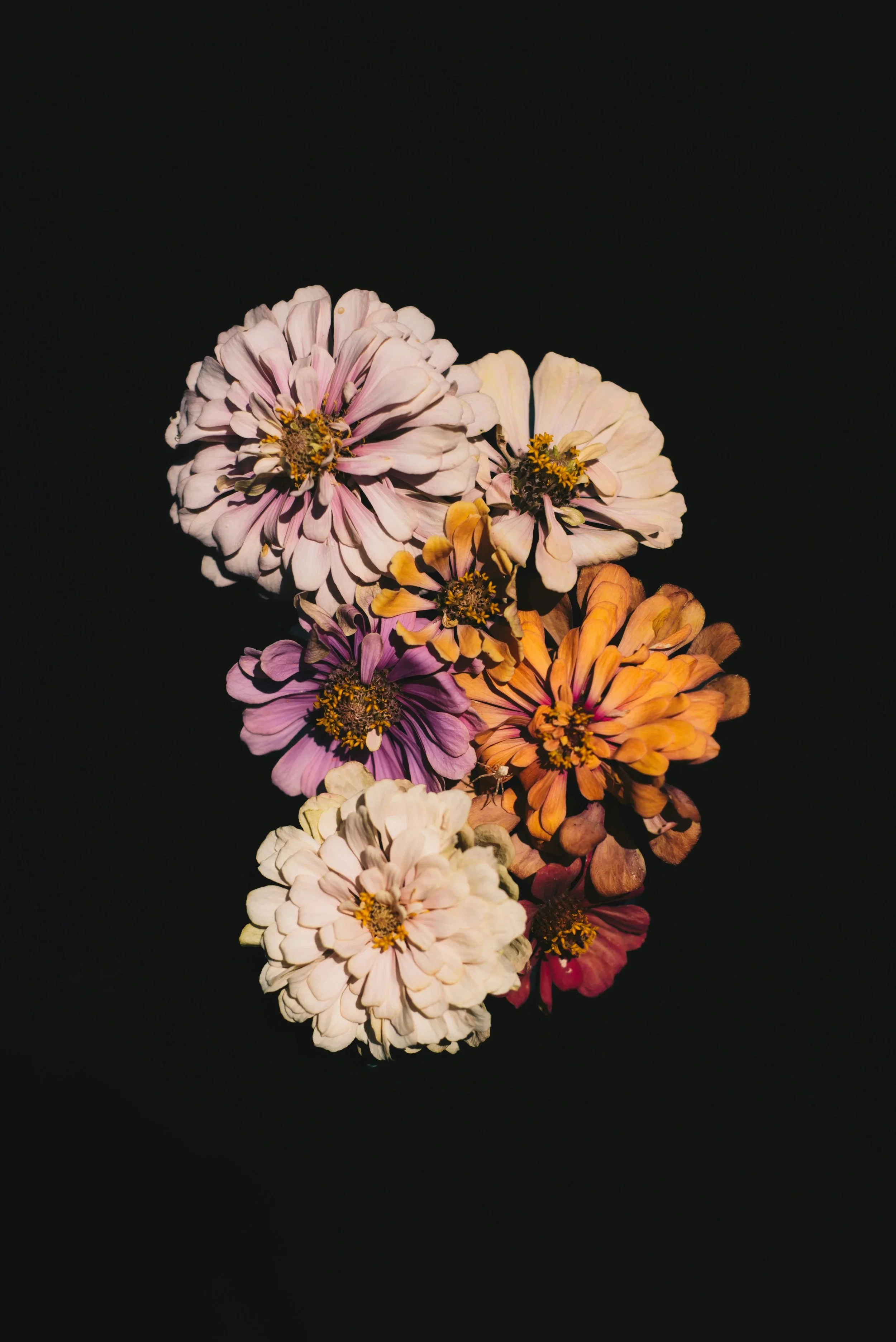A trauma therapist's perspective on the cut’s IFS article