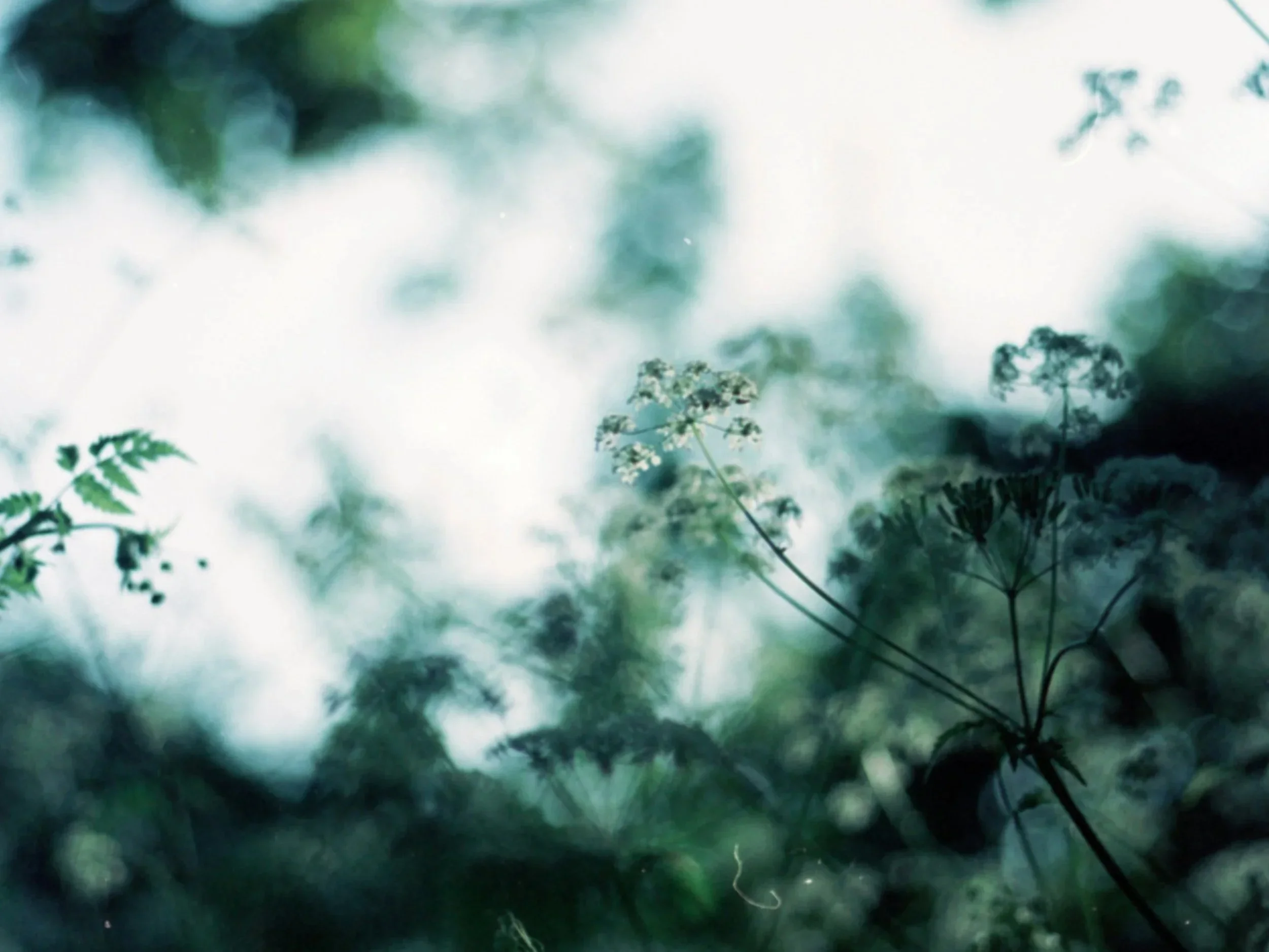 Reflection Questions for Ending Therapy: A Guide to Meaningful Closure