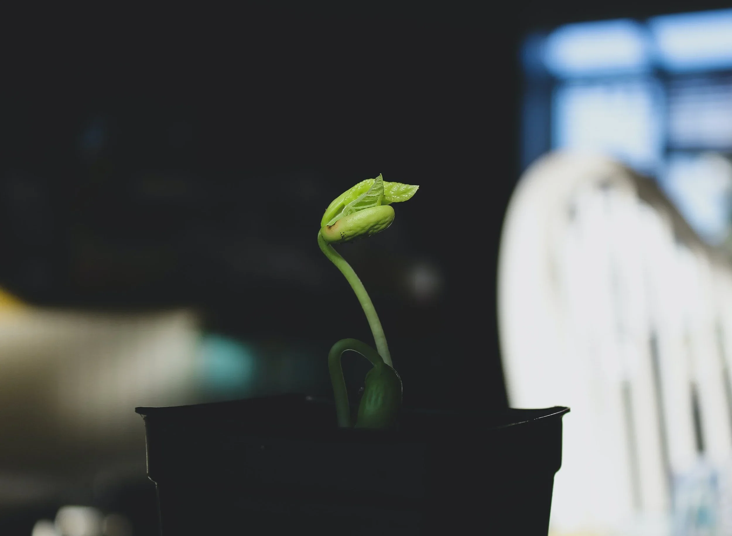 Understanding and Accepting Emotional Neglect