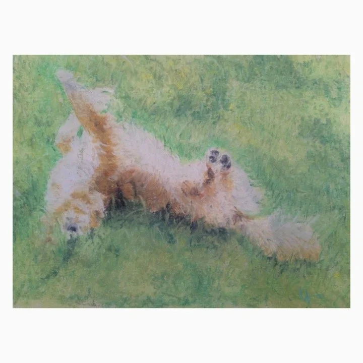 2015 North in Grass.JPG