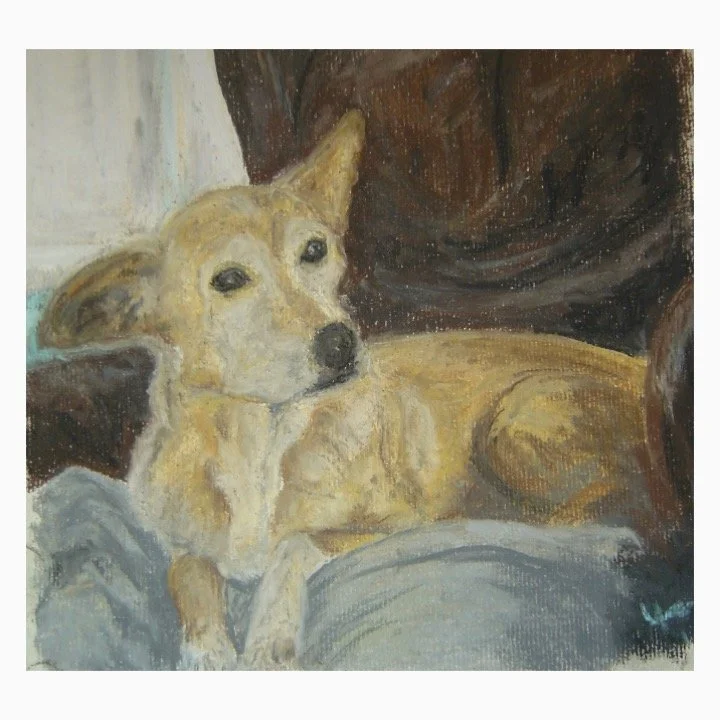 2014 Luna II not cropped.JPG