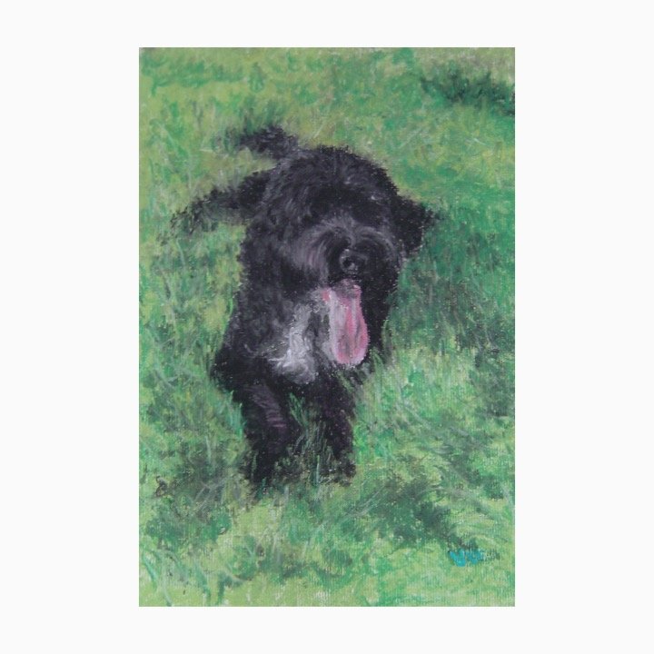 2017 Olly uncropped.jpg