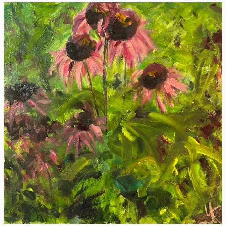 Echinacea II​​, Oil on  Board​​, 25.5cm x 25.5cm, ​​SOLD