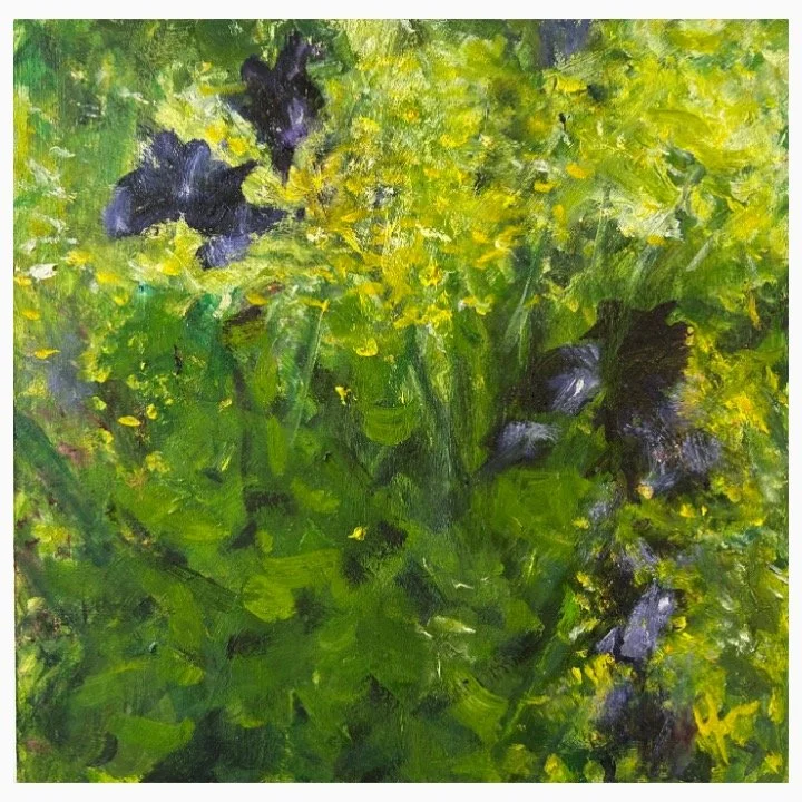 Spring Iris​​, Oil on  Board​​, 25.5cm x 25.5cm​​, SOLD