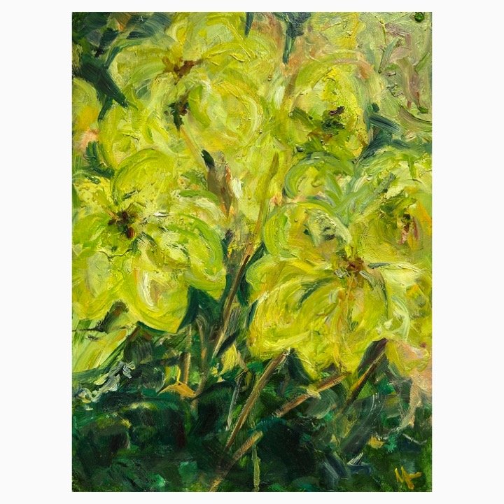 Hellebores IV, Oil on Board, 46cm x 38cm, unframed, £295.00