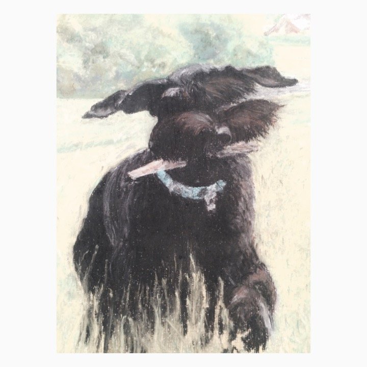 2015 Lulu w Stick.JPG