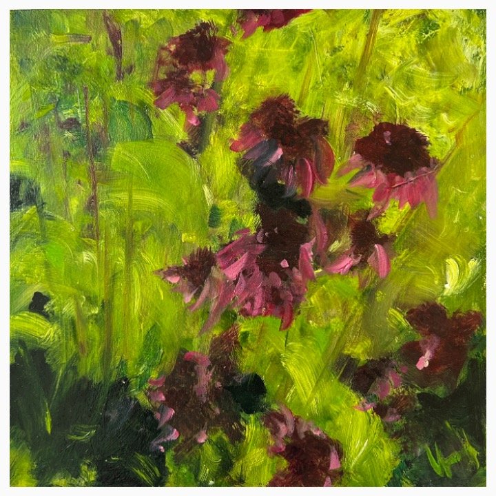Echinacea I​​, Oil on  Board​​, 25.5cm x 25.5cm, unframed £275, framed £410