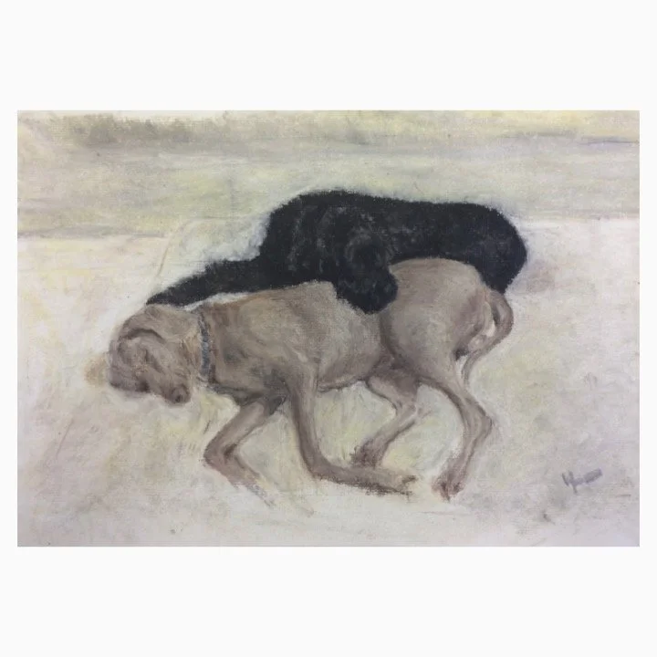 2016 Lulu & Marley.jpg