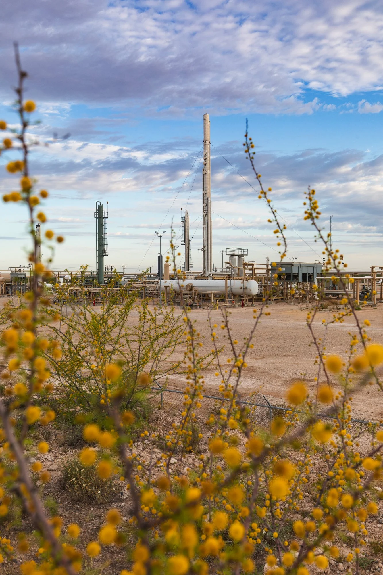 Oil refinery equipment with desert plants and yellow flowering bushes in foreground under partly cloudy sky.
