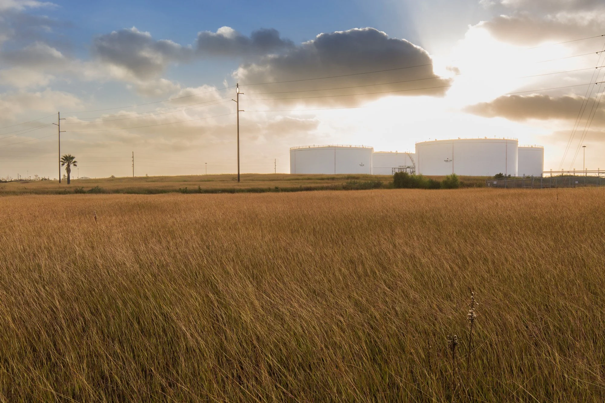 Open field of tall, dry grass with large white oil storage tanks and power lines in the background, under a partly cloudy sky with the sun shining through clouds.