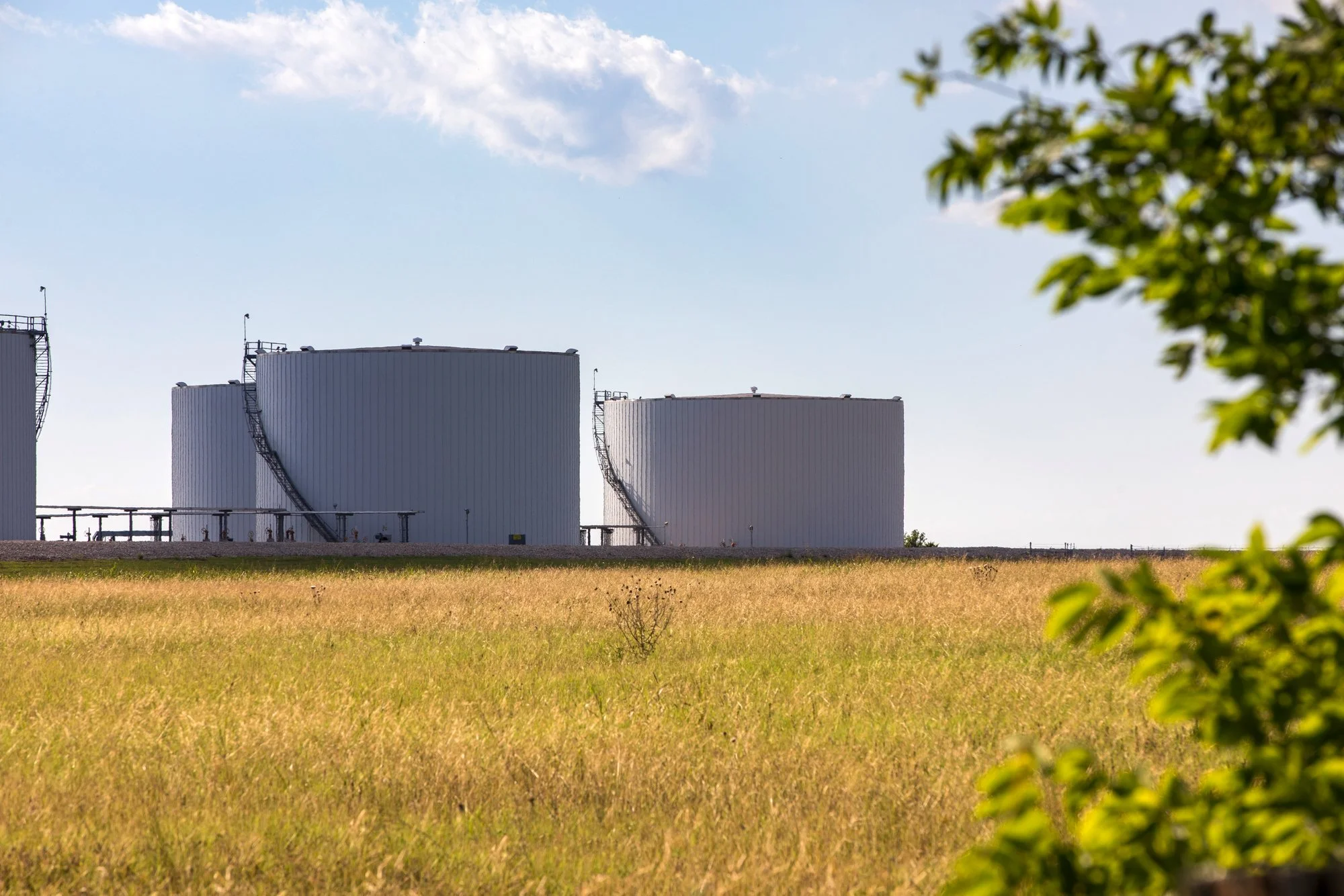 Large white industrial storage tanks behind a grassy field with trees and a blue sky.