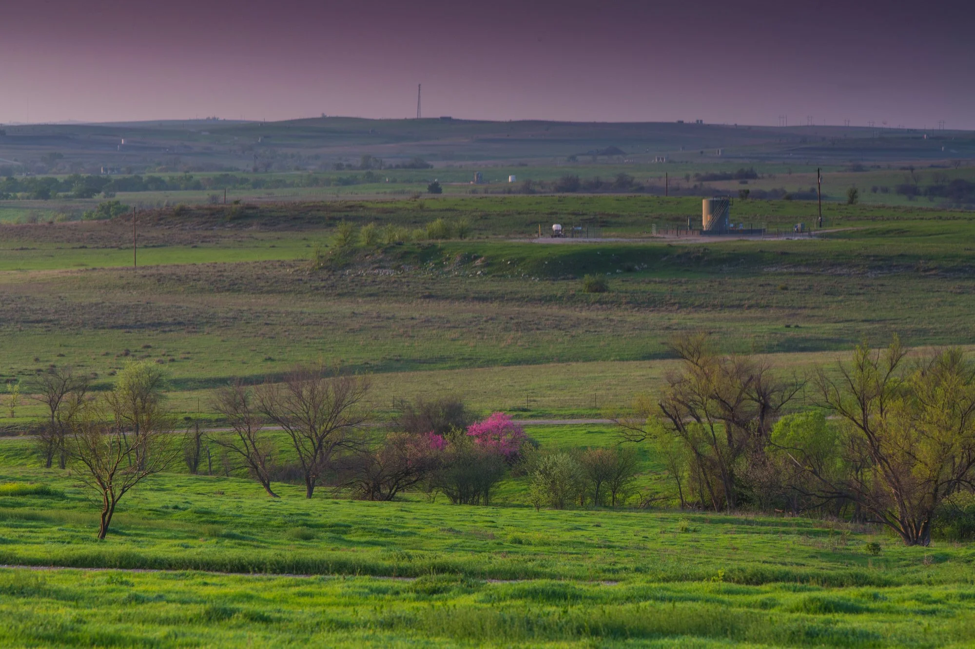 A scenic landscape of green rolling hills with trees, some blossoming with pink flowers, under a purple sky.