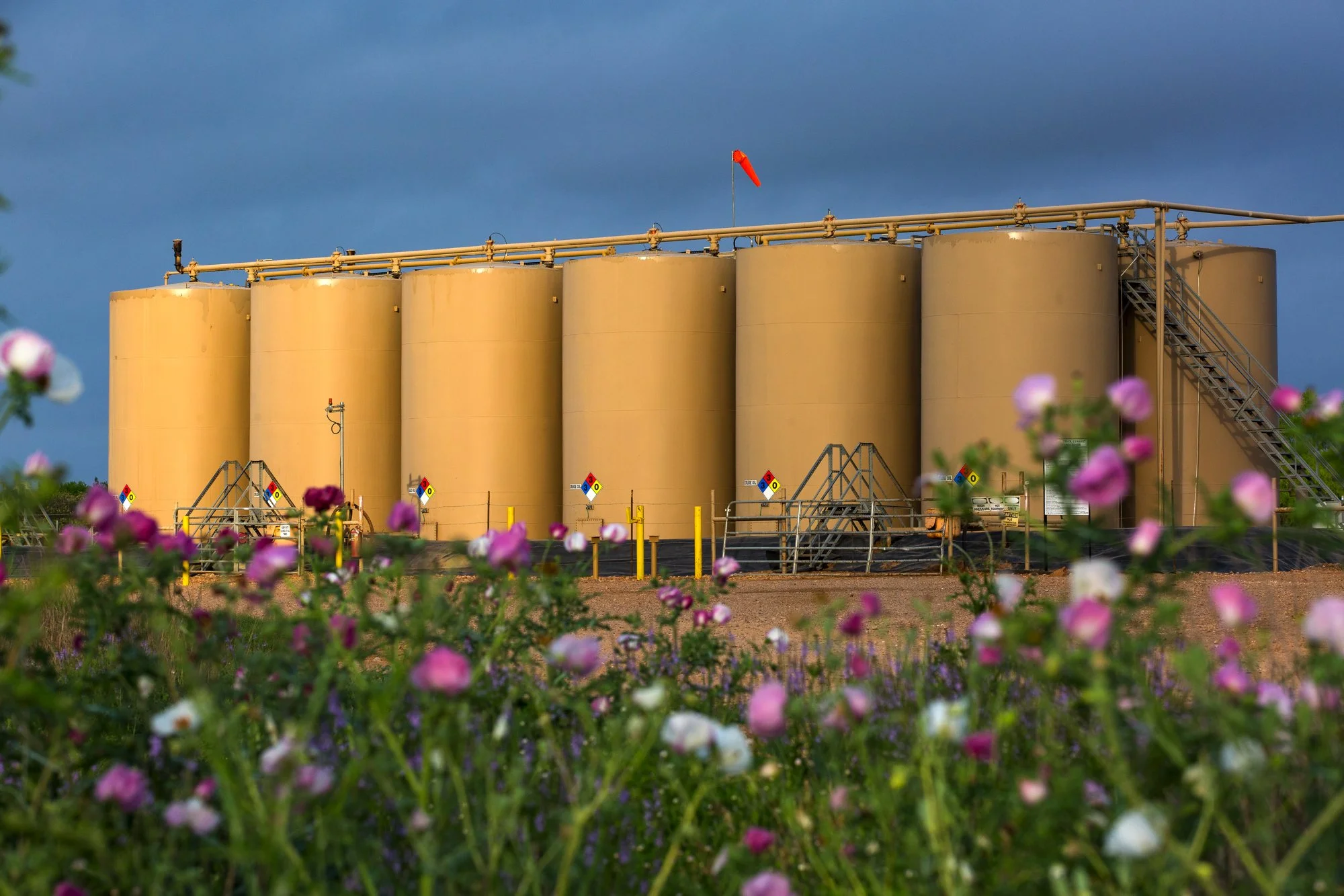 Large beige storage tanks with safety signs and metal stairs in an industrial setting, with pink and white flowers in the foreground and a cloudy sky in the background.