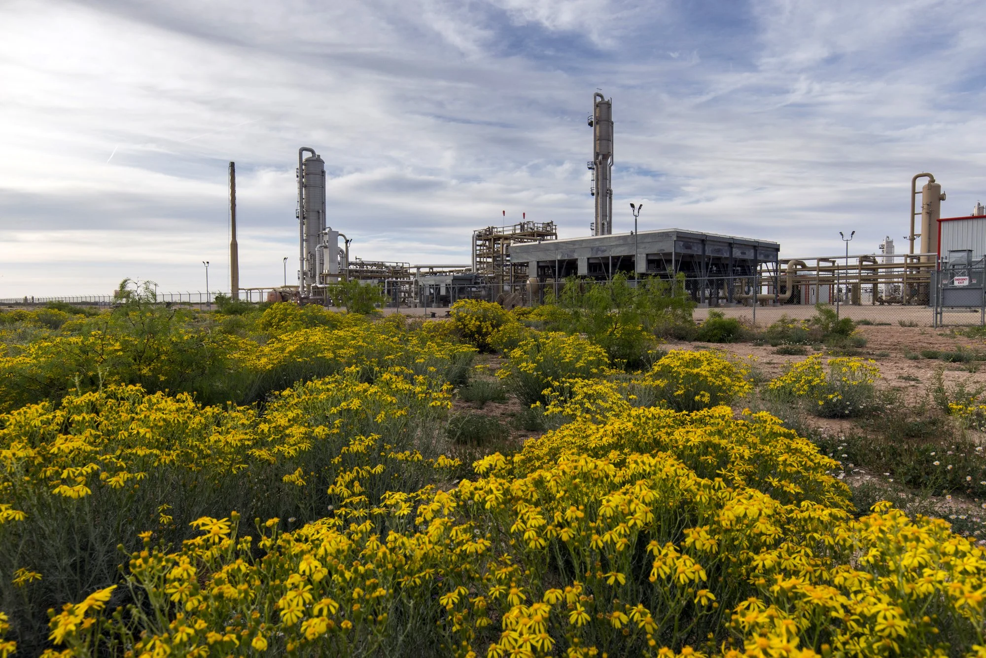 Industrial site or refinery with metal structures and pipes, surrounded by desert plants and yellow wildflowers in the foreground, under a partly cloudy sky.
