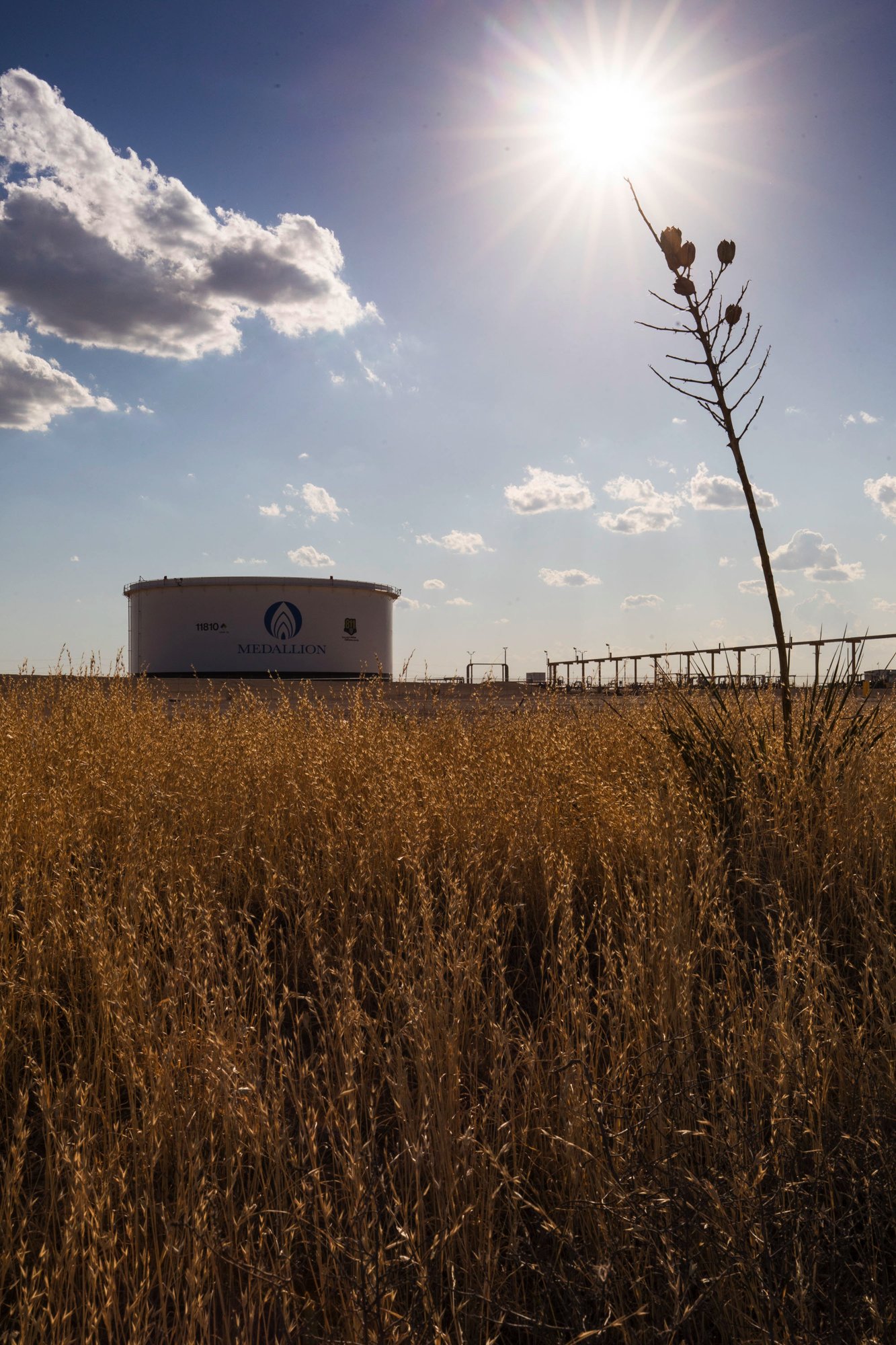 A field of tall, golden grass with a dry, leafless plant in the foreground. In the background, there is a large white industrial storage tank with the label 'Medallion,' and a clear blue sky with scattered clouds, bright sun, and sunlight rays.