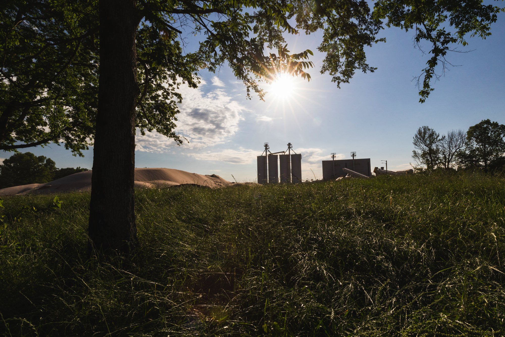 A rural landscape with a tree in the foreground, tall grass, and farm silos and structures in the background under a bright sun in a clear sky.