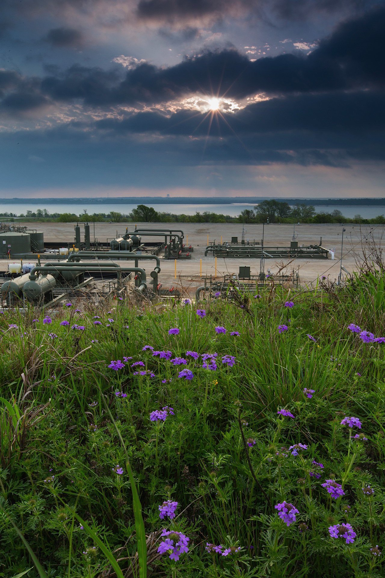 View of an industrial site with pipelines and equipment, surrounded by green grass and purple wildflowers, with a body of water and cloudy sky with the sun peeking through in the background.