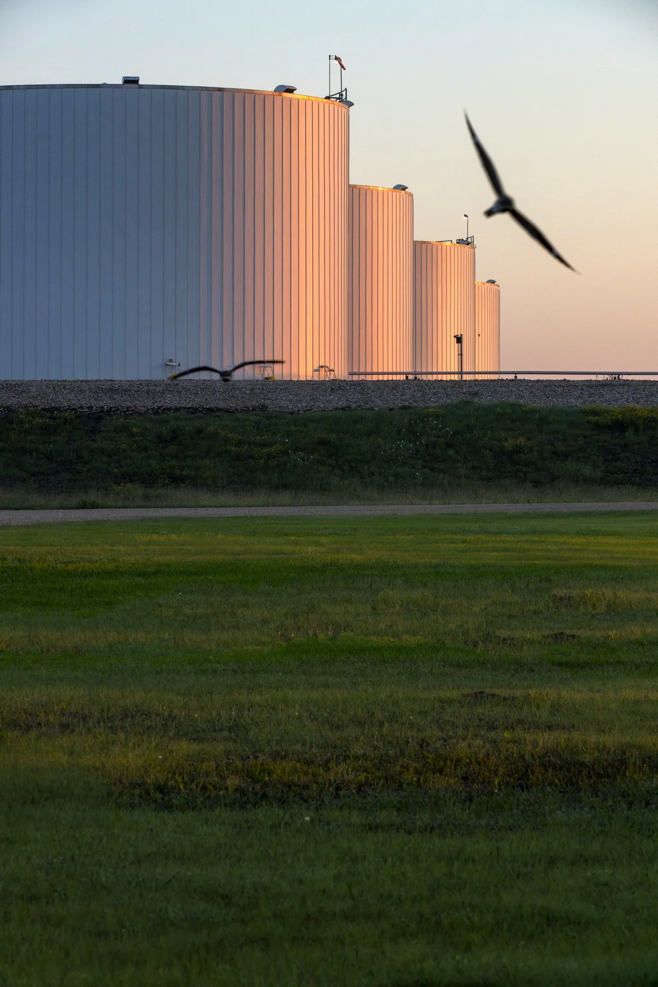 Several large white industrial storage tanks or silos are located on a flat area, with a flag on top of one. Birds are flying in the foreground, with some trees and grass below.