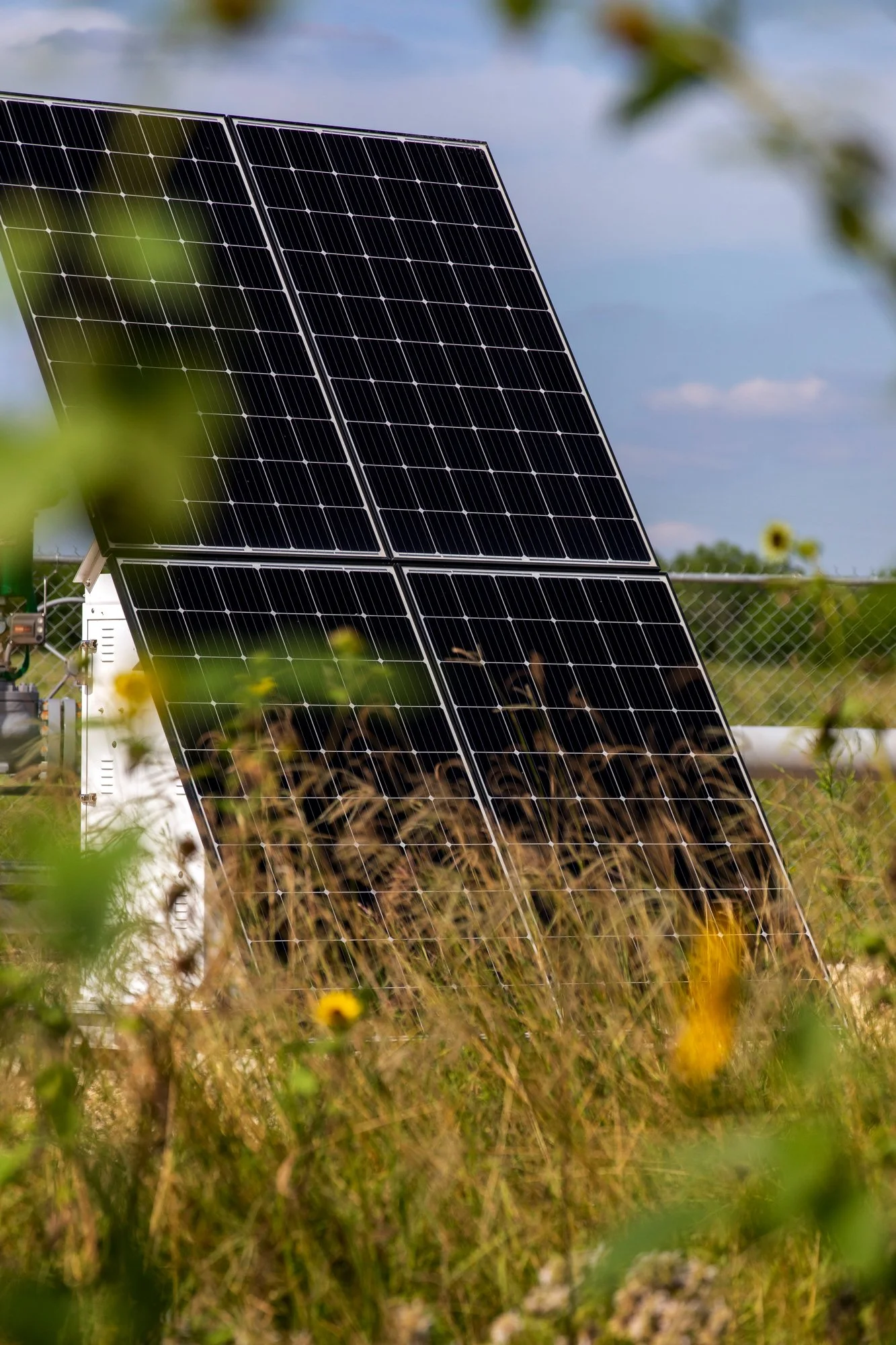 Photovoltaic solar panels installed outdoors in a grassy area.