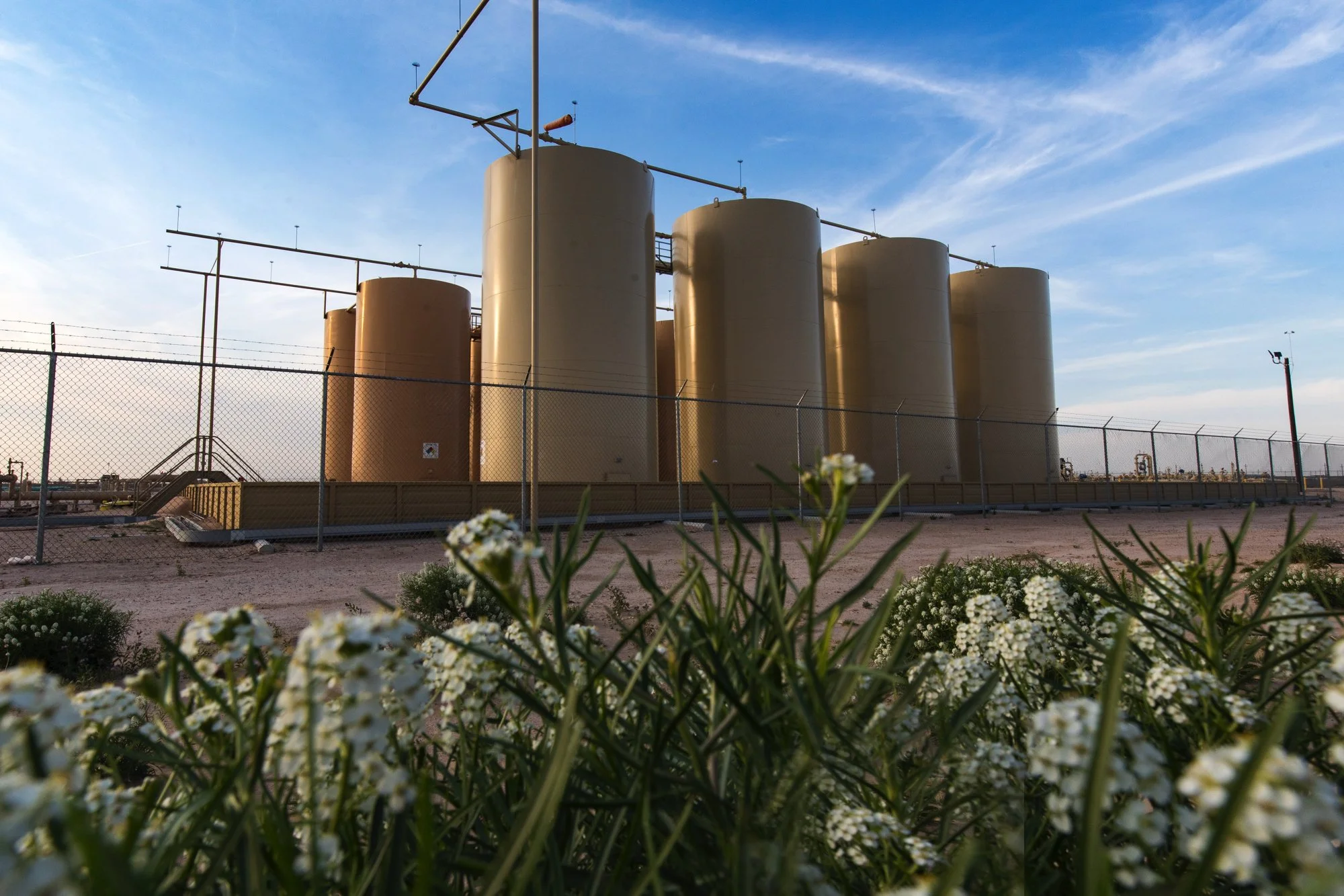 Industrial tanks behind a chain-link fence with white flowers in the foreground and a blue sky with clouds.