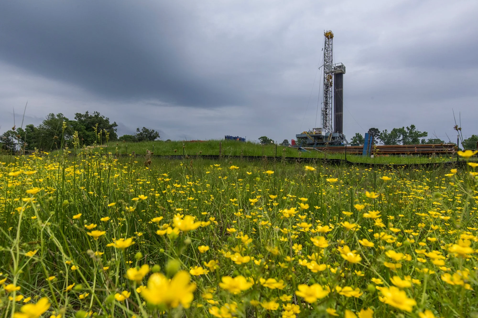An oil drilling rig in a grassy field with yellow flowers and dark clouds overhead.