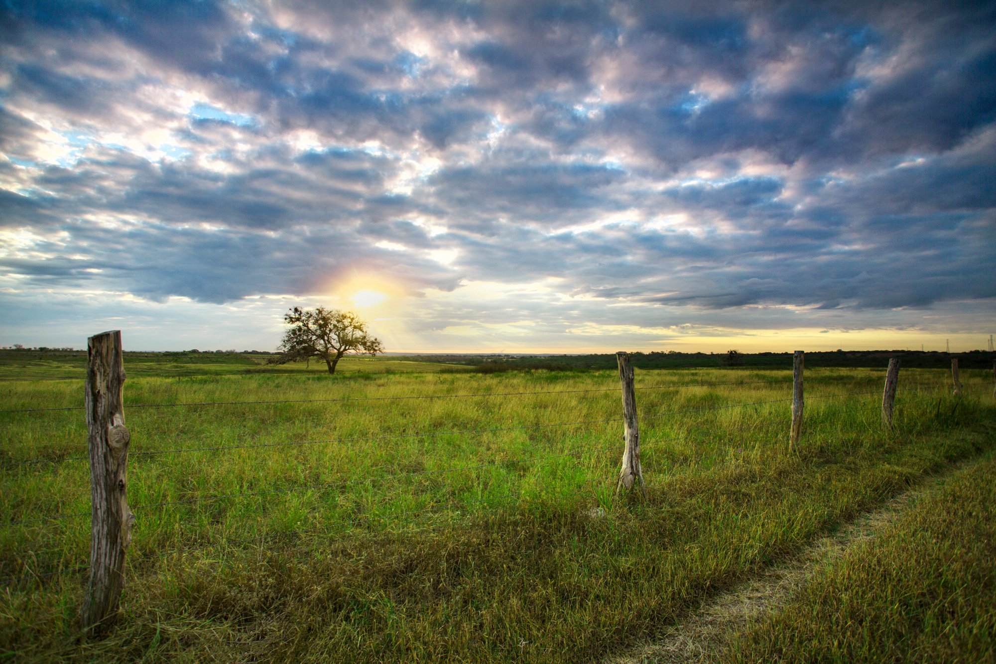 A grassy field at sunset with a single tree near the horizon and a cloudy sky. A wooden fence runs across the foreground.