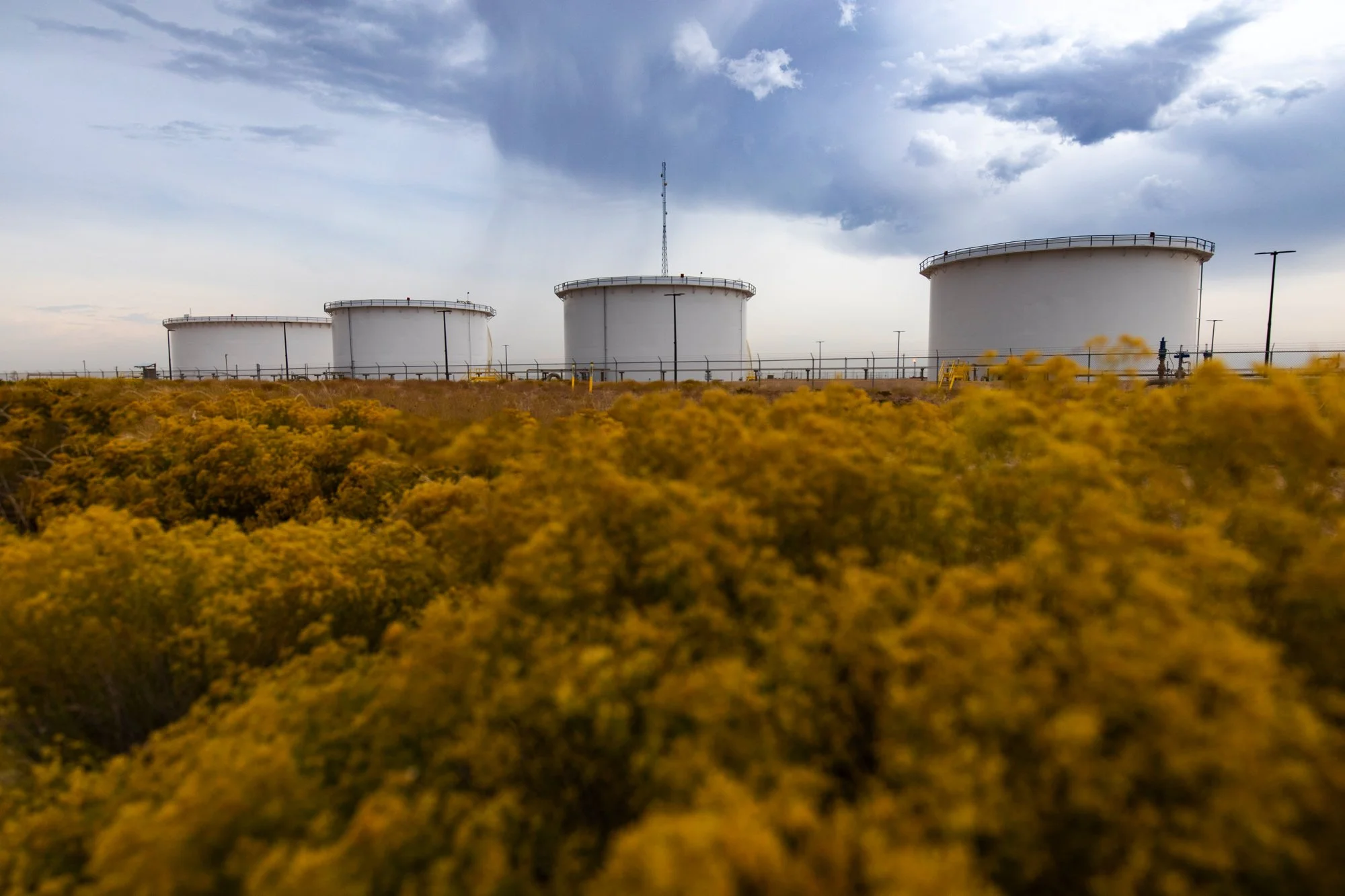 Four large white storage tanks on a fenced platform, with yellow flowering bushes in the foreground and cloudy sky above.