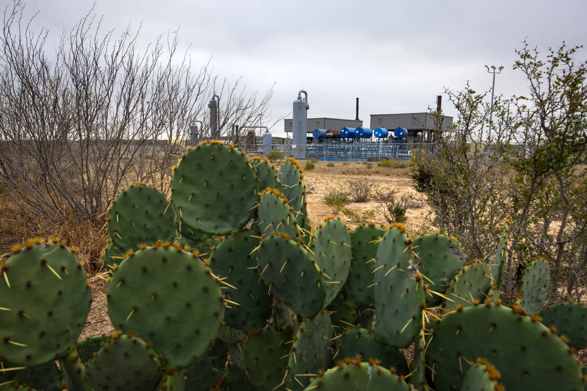 Desert landscape with cactus in the foreground, and industrial facility with blue storage tanks and pipes in the background, under a cloudy sky.