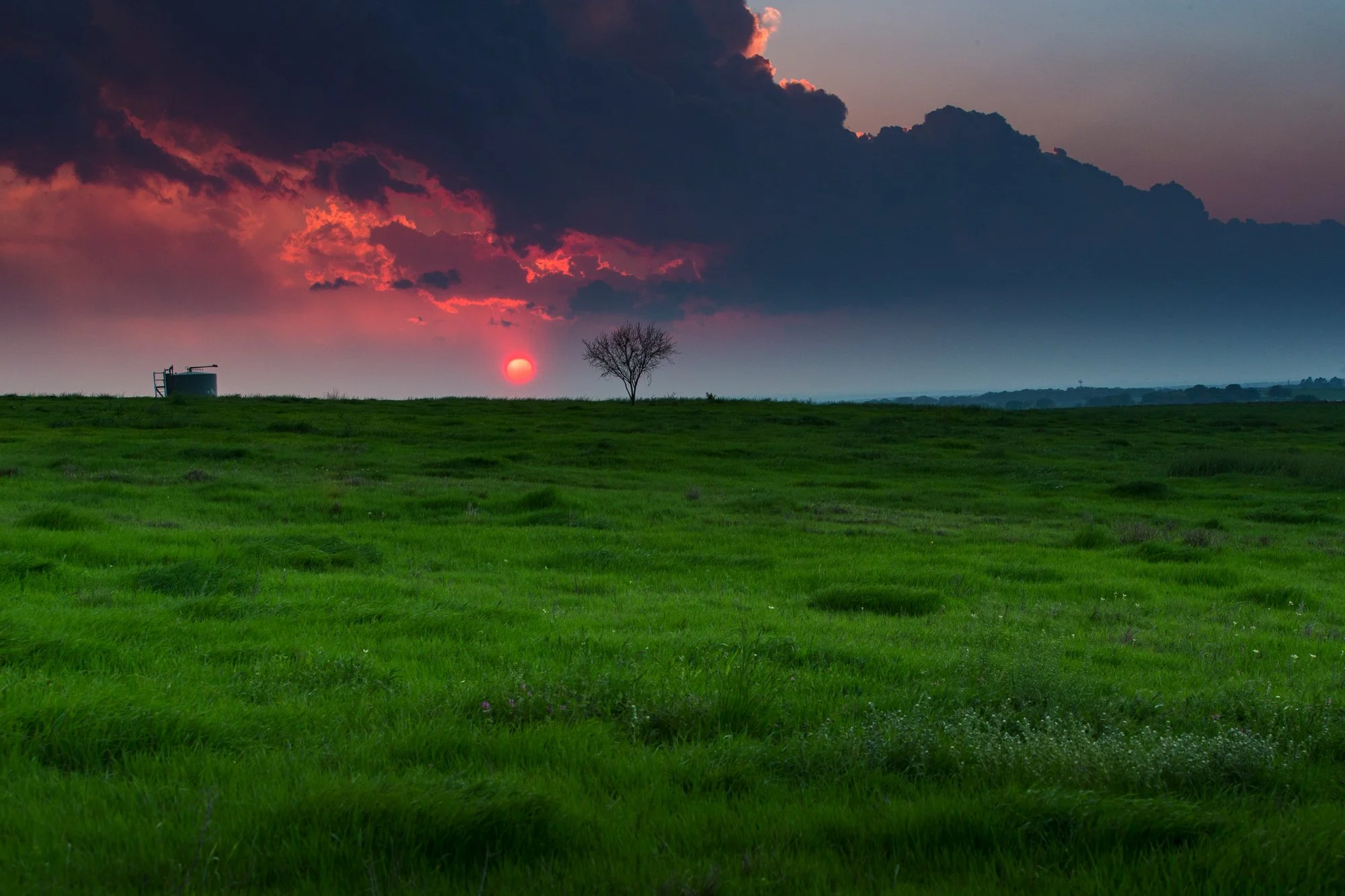 A green grassy field with a single bare tree on the horizon, dark clouds with pink and orange hues, and a setting sun in the background.