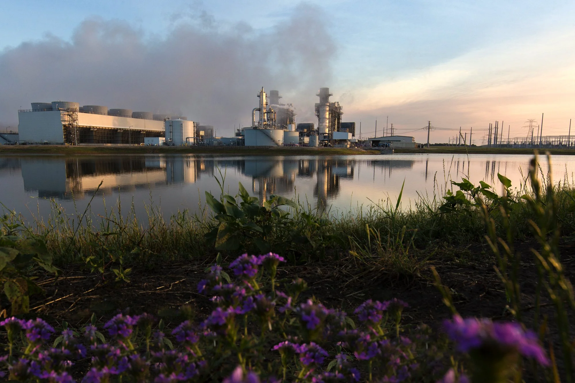 View of an industrial plant with smokestacks reflected in a body of water, with flowers and grass in the foreground during dusk or dawn.