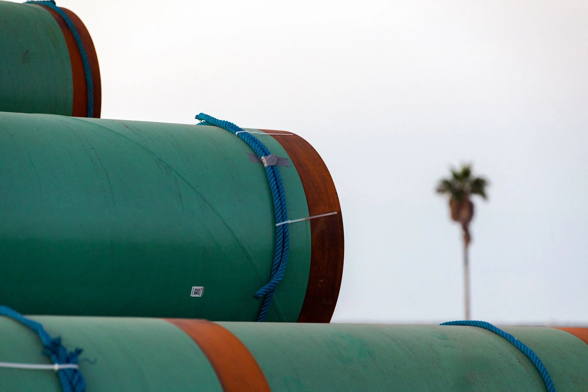Close-up of large green pipes with orange edges secured by blue ropes, with a blurred palm tree in the background.