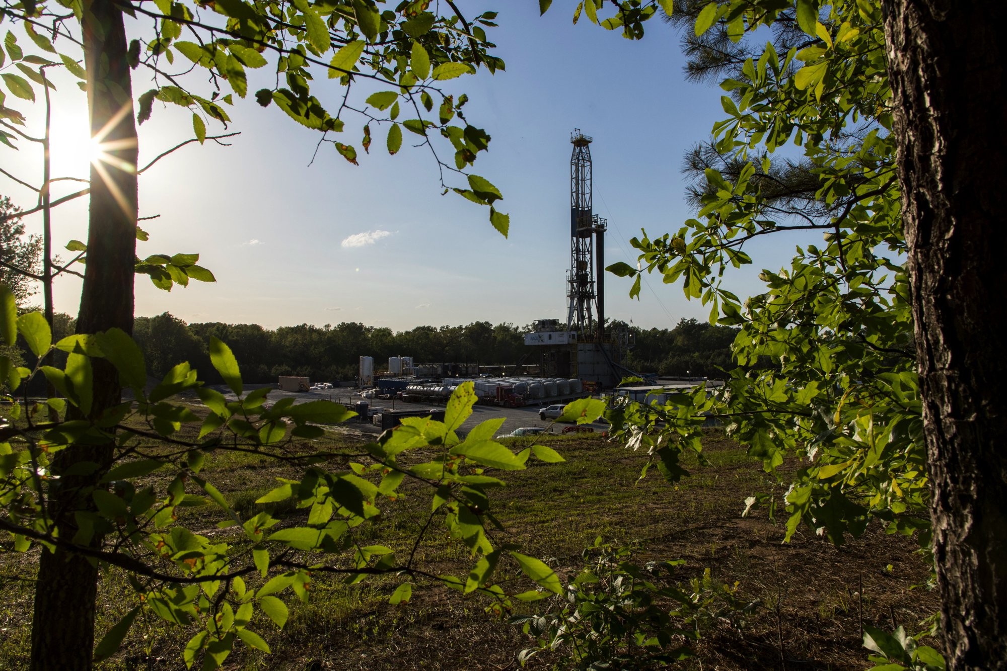 An oil drilling rig in a field, seen through the leaves and branches of trees, with the sun shining brightly in the background and a clear blue sky.