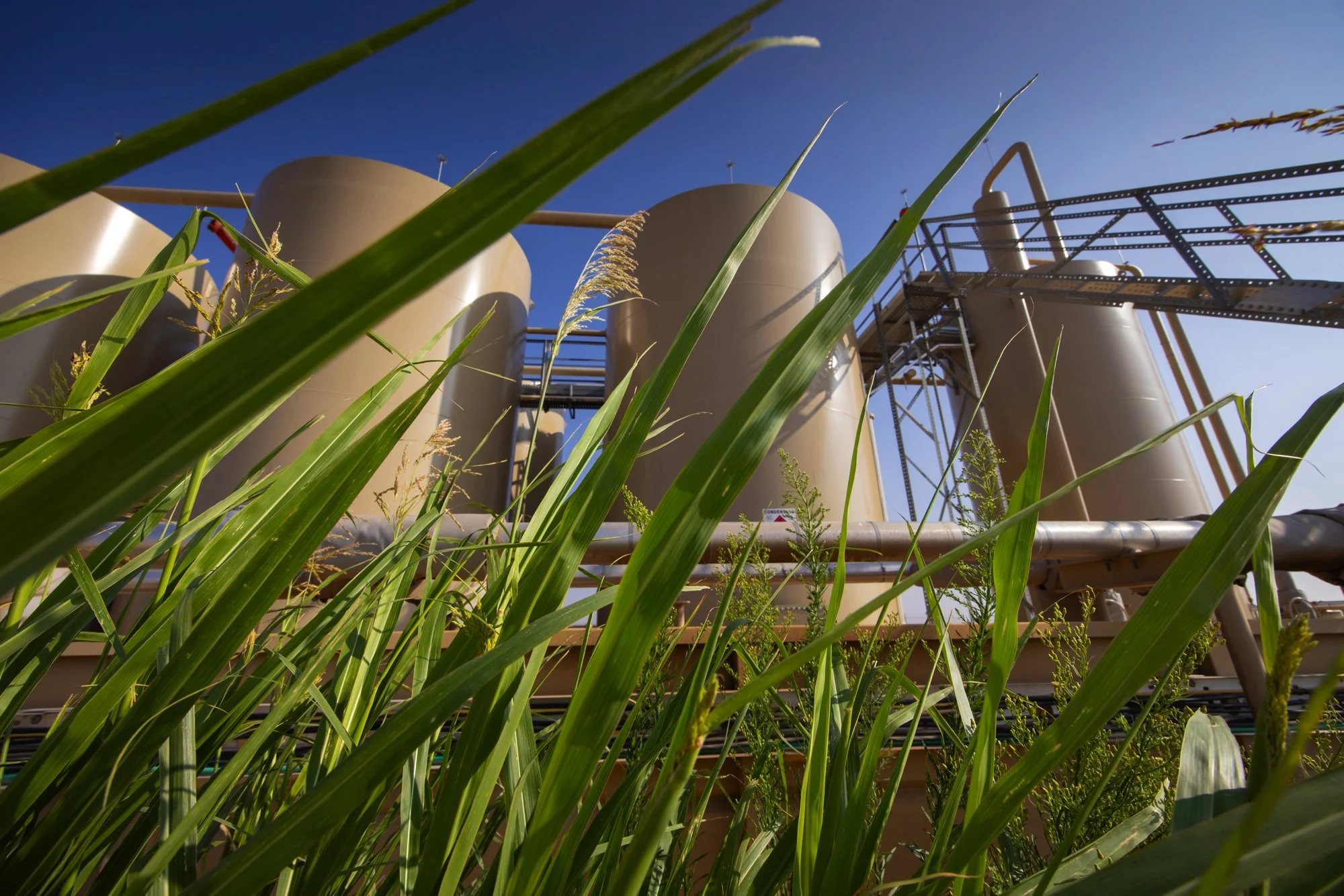 Industrial storage tanks with pipelines surrounded by tall green grass against a blue sky.