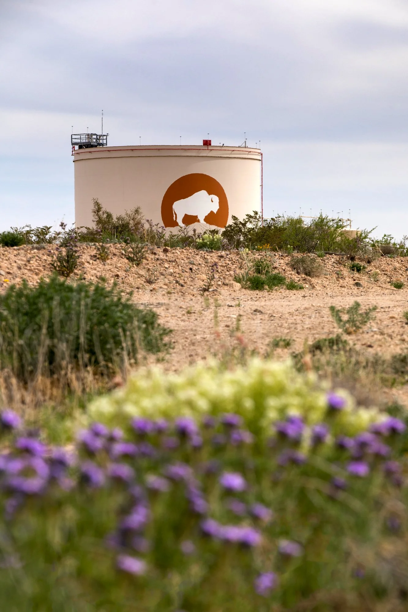 A large, white water tower with a brown logo of a bison inside a circle on its side, in a desert landscape with sparse vegetation and purple flowers in the foreground.