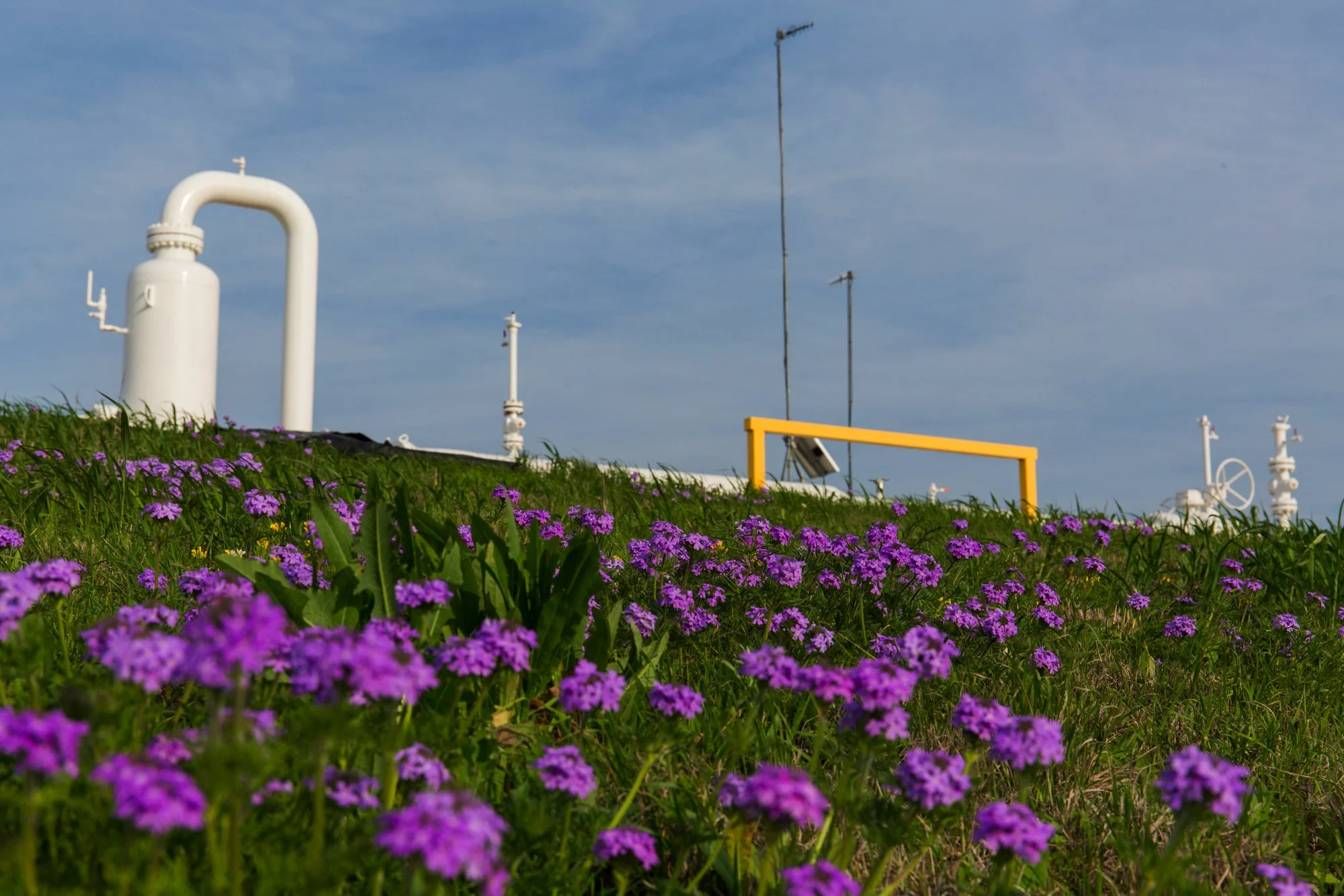 Green hillside with purple flowers in the foreground, and white industrial pipes and equipment, yellow structure, and antennas against a blue sky in the background.