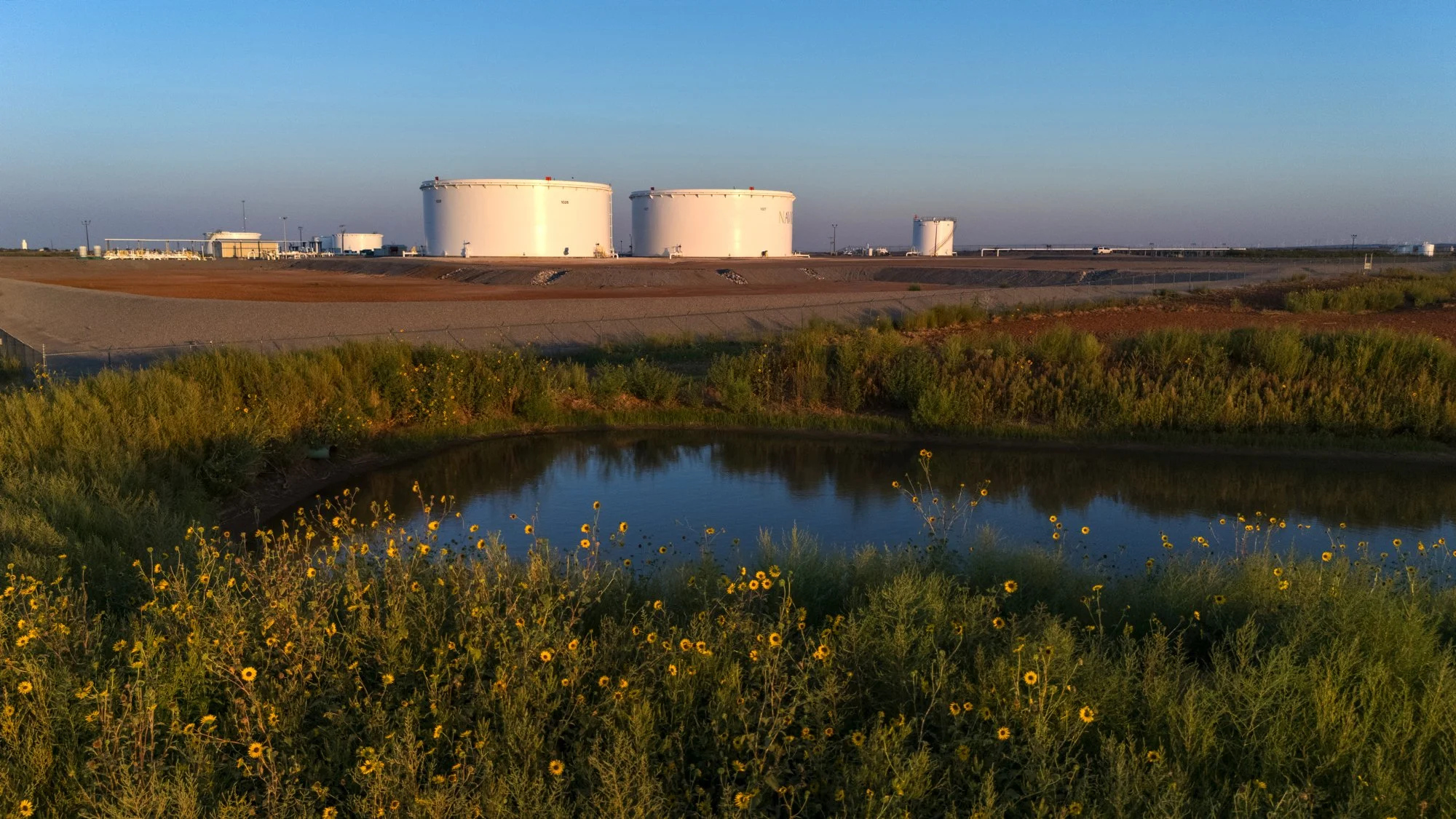 Oil storage tanks in an industrial site with a small pond and yellow wildflowers in the foreground.