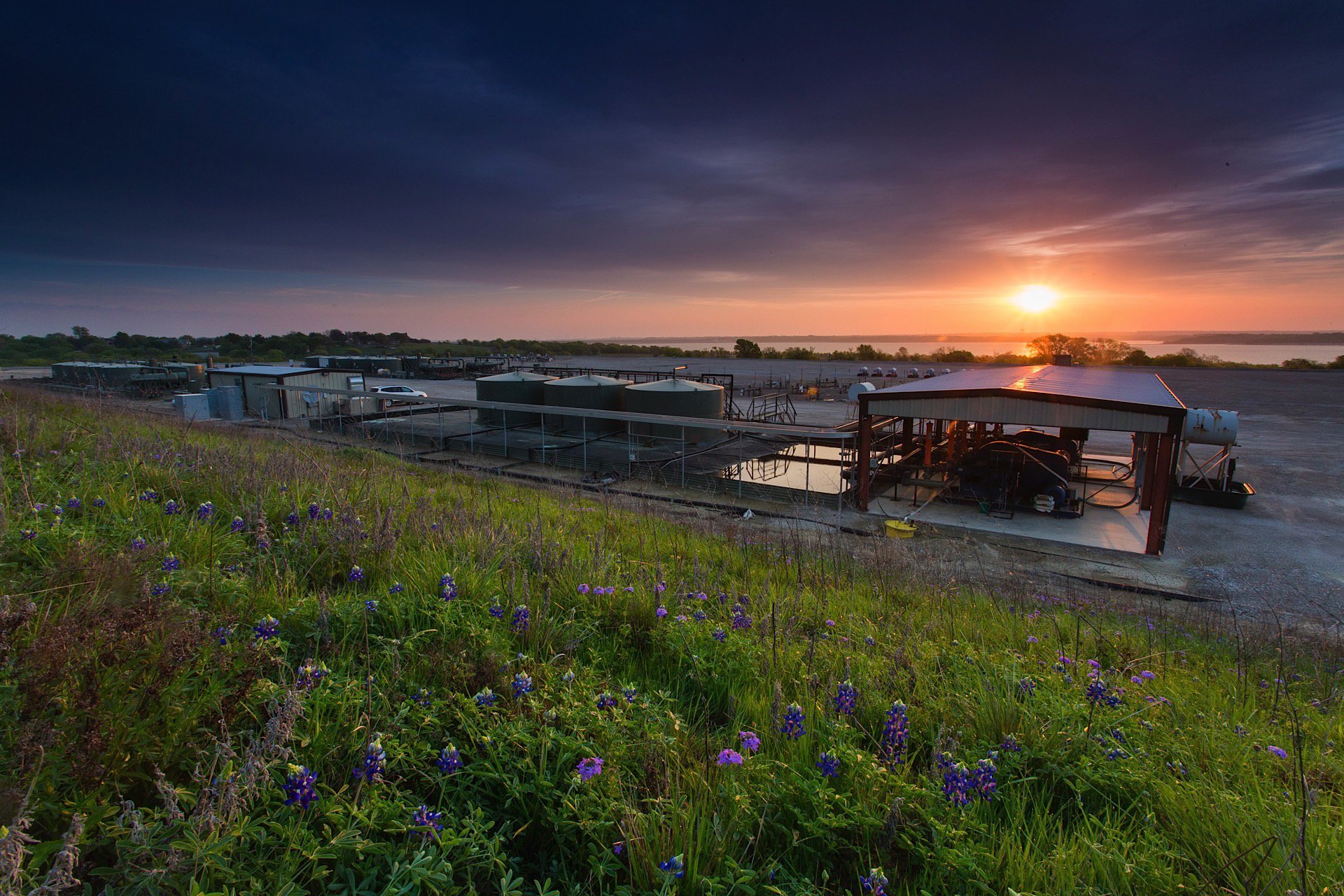 Sunset over a large open yard with parked boats and equipment, grassy foreground with purple and blue flowers, water in the distance.