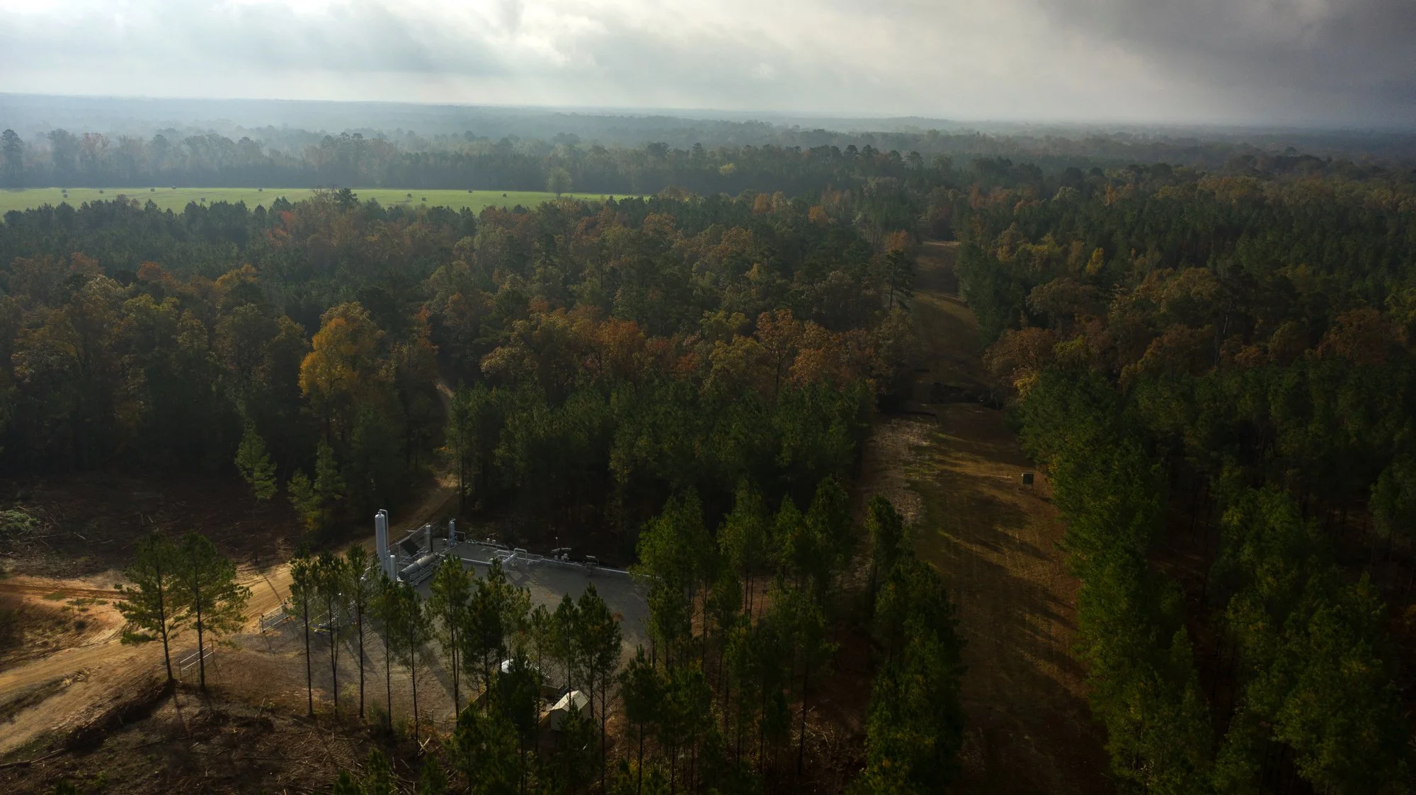 Aerial view of a forest landscape with a solar power facility in the foreground and dense woodland extending to the horizon.