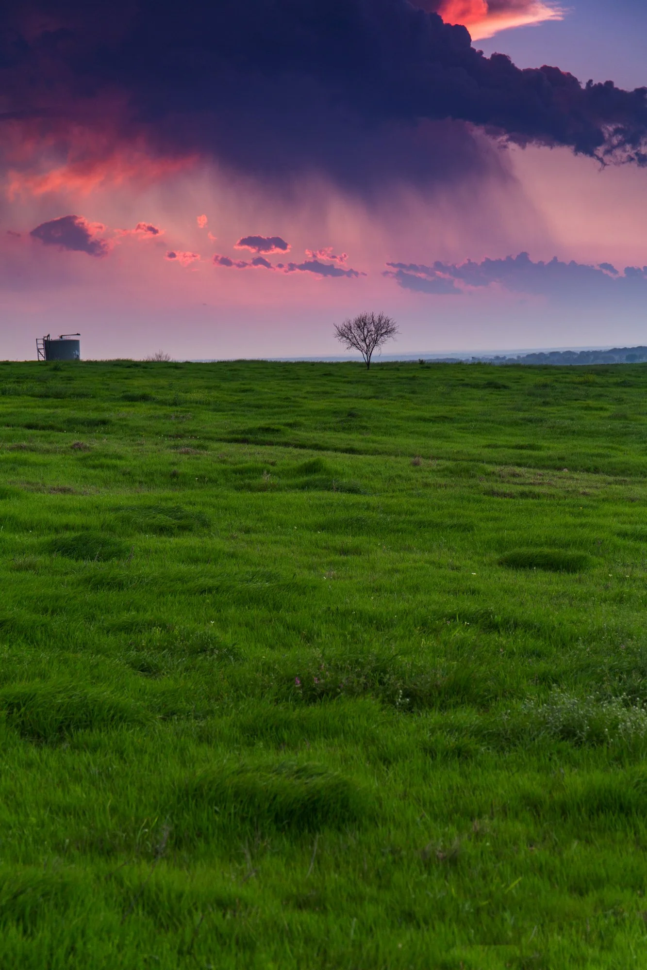 A vast green grassy field with a single leafless tree in the distance under a cloudy sky during sunset with pink, purple, and orange hues.