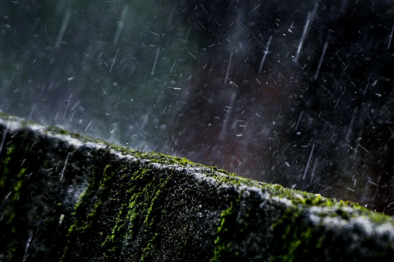 Close-up of moss-covered stone surface with falling raindrops at night.
